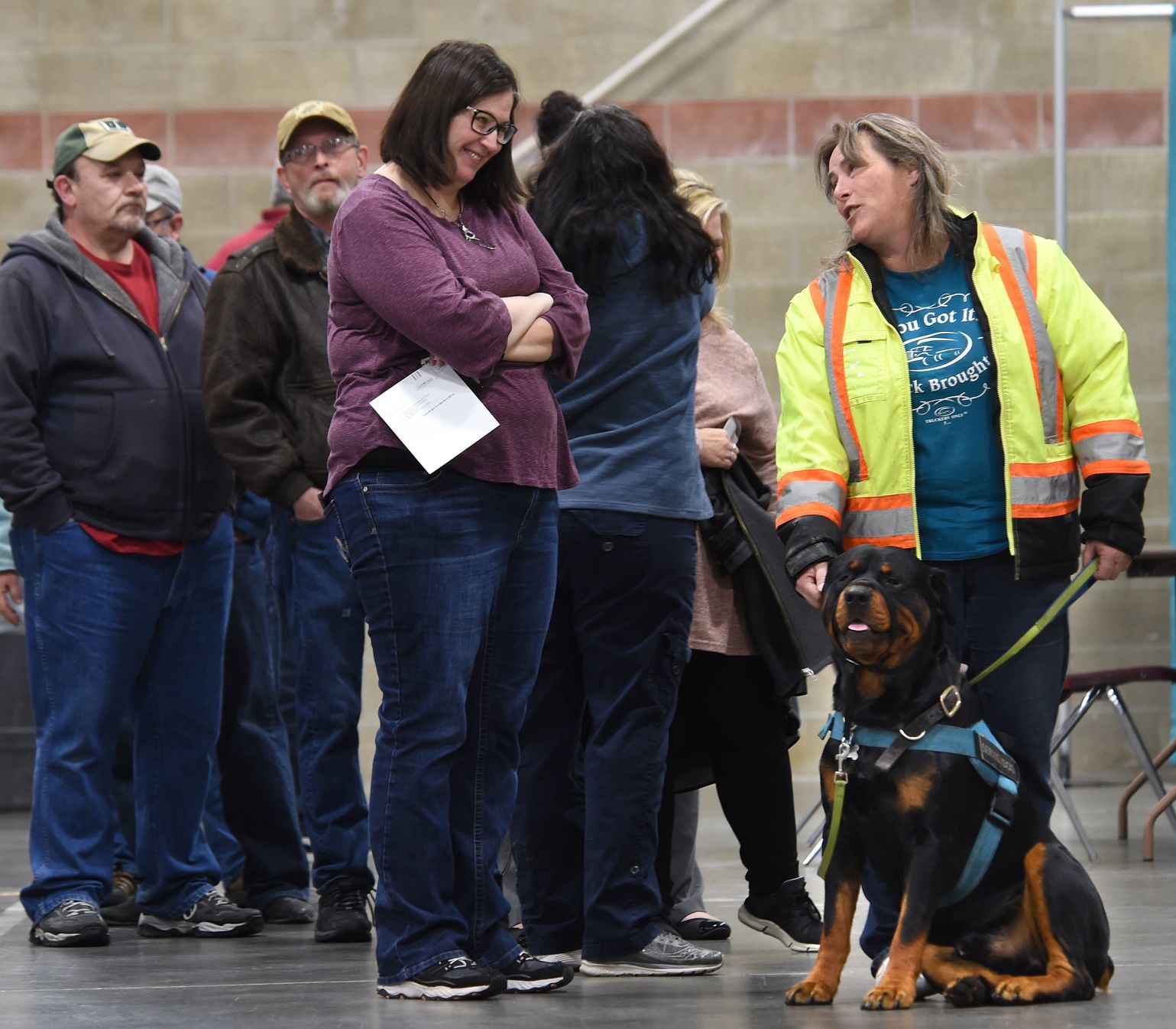 Election dog